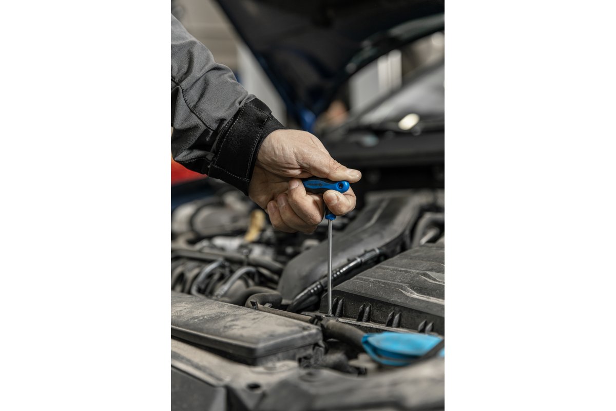 Ключ torx security типу T , довгий TT25