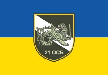 21 ОСБ флаг лев с мечом