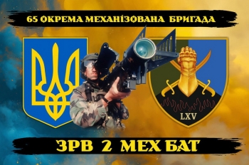 65 ОМБ ЗРВ 2 мех бат