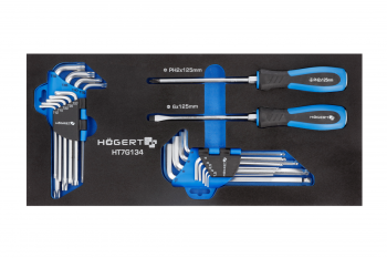 Набор отверток, ключи HEX и TORX 20 шт., ложемент EVA