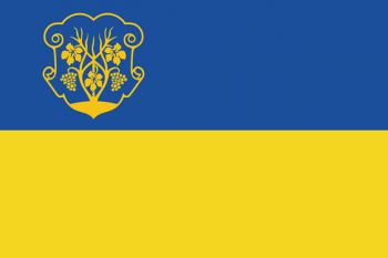 Прапор Ужгорода