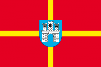 Прапор Житомирської області